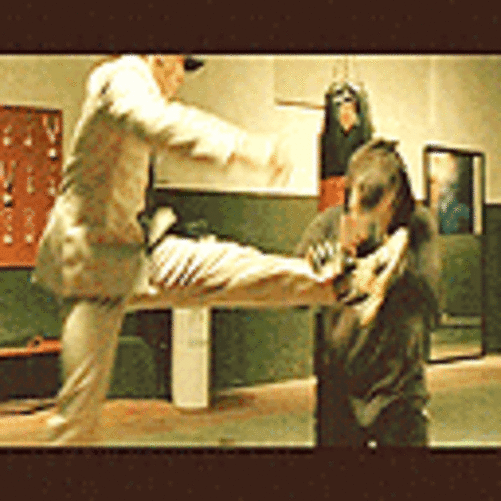 电影中搞笑的qq表情大合集