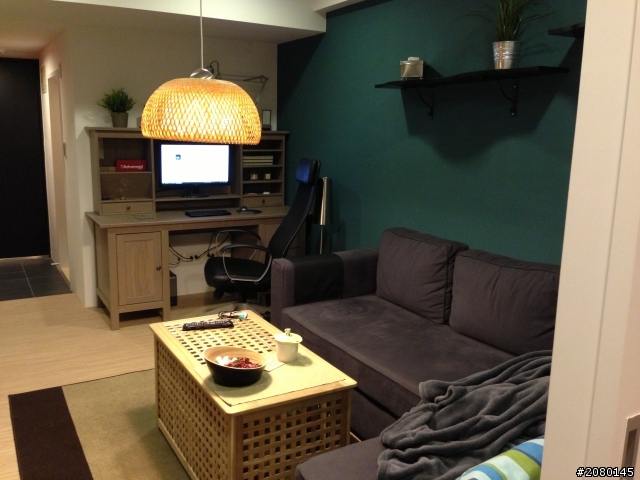 30平米小户型全套宜家装修效果图 极尽简约之