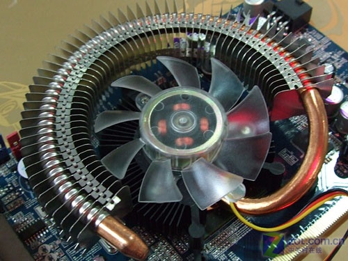 Ӱ�ۣ�GALAXY��8600GT�ǻҼ�ħ��ͼƬ���� ��6�� -ZOL�йش����ߵ�6��