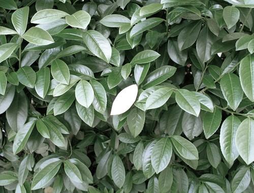 无法定义的颜色 独特风格时尚艺术摄影_数码影