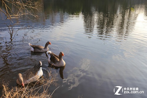 ������Ȫ֮�ã�����6D�����ձ����ݵ� 