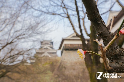 ������Ȫ֮�ã�����6D�����ձ����ݵ� 