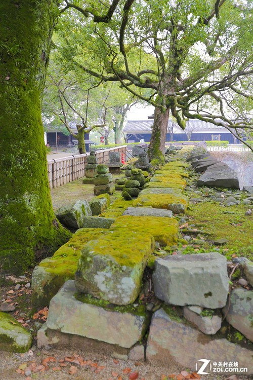 ������Ȫ֮�ã�����6D�����ձ����ݵ� 