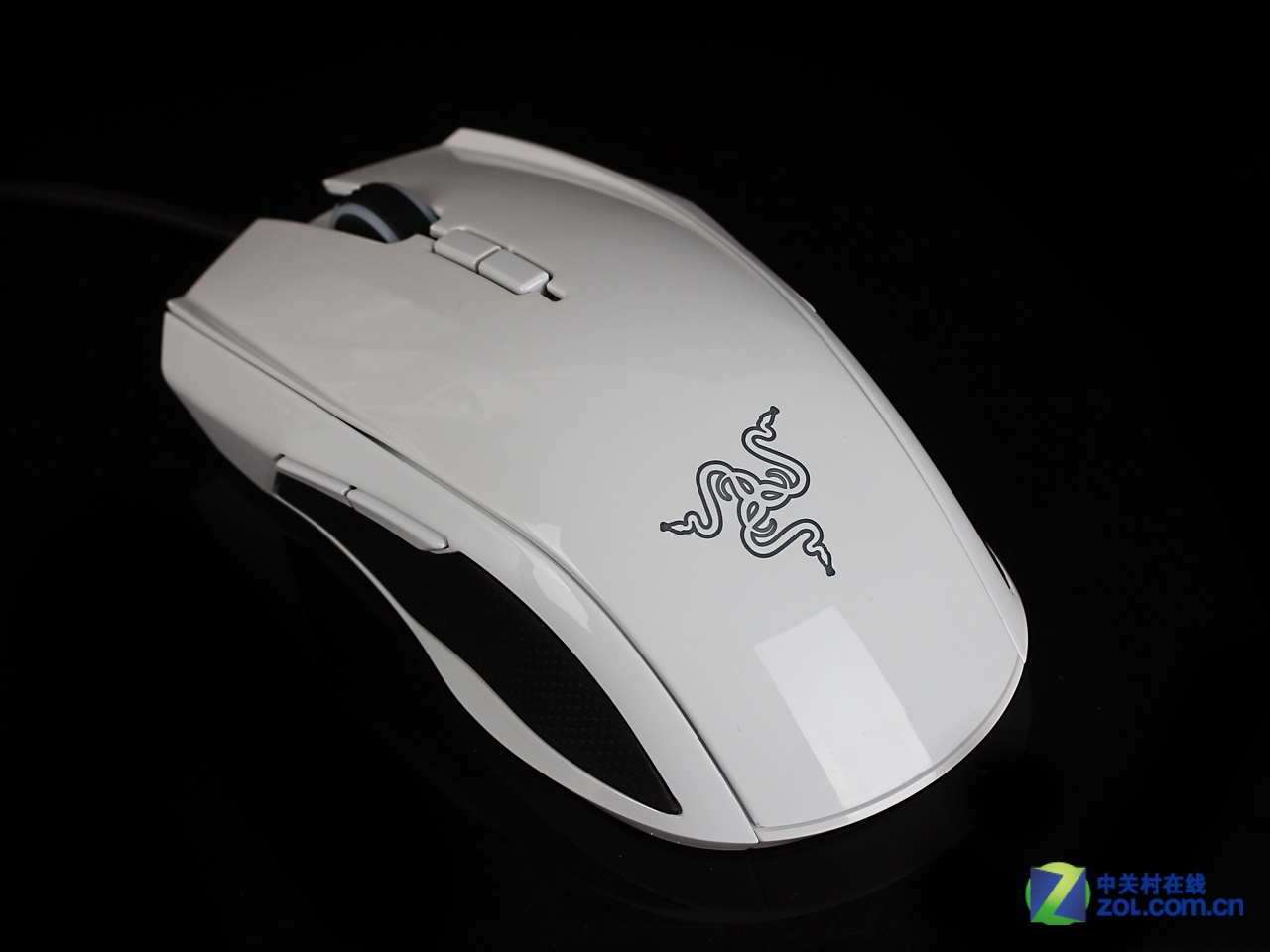 雷蛇太攀皇蛇怎么样,是趴鼠还是抓鼠,过去我用