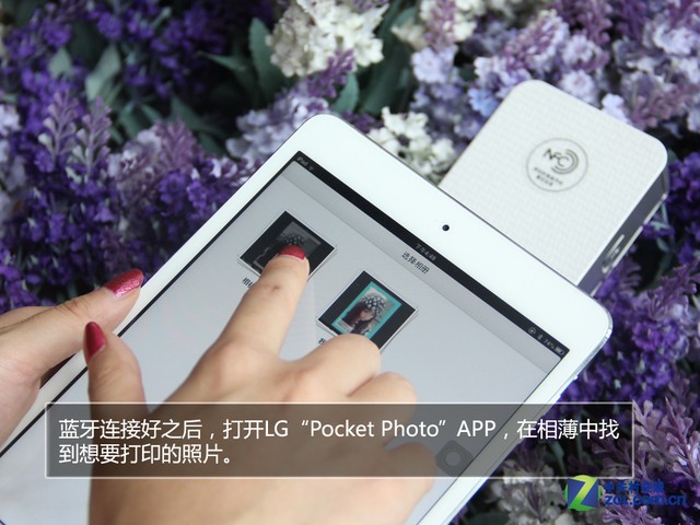 LG PD233�ڴ���ӡ�� ֻҫ�㲻һYoung