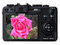 ����PowerShot G9ͼƬ