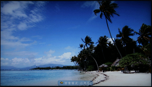���ɣ�ViewSonic��N2640wbͼƬ���� ��79�� -ZOL�йش����ߵ�79��