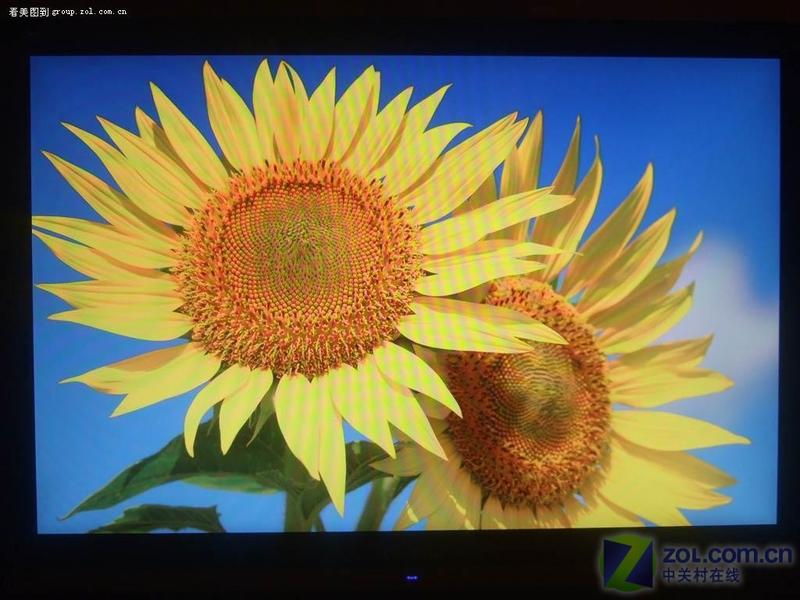 ���ɣ�ViewSonic��VA2226wͼƬ���� ��8�� -ZOL�йش����ߵ�8��