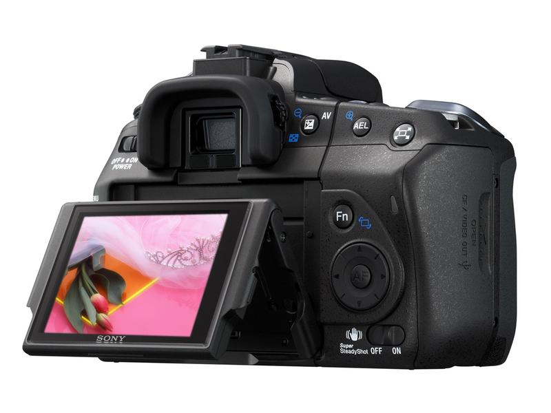 ���ᣨSONY��a350ͼƬ���� ��15�� -ZOL�йش����ߵ�15��