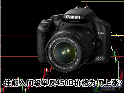 Ϊɶ�������� ���ܵ���450D���ڼ۸�����ͼƬ����,ͼ1-ZOL�йش����ߵ�1��