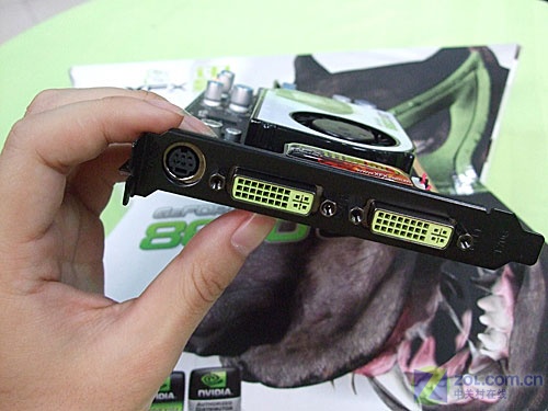 XFXѶ��8600GT(PV-T84J-UDD5) ��1��