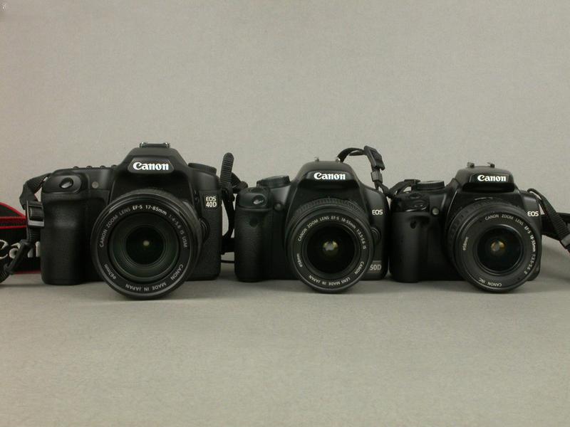 ���ܣ�Canon��450DͼƬ���� ��153�� -ZOL�йش����ߵ�153��