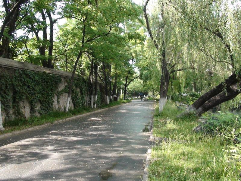 40GBӲ�̸������� 15X�������SR10E����ͼƬ����,ͼ23-ZOL�йش����ߵ�23��