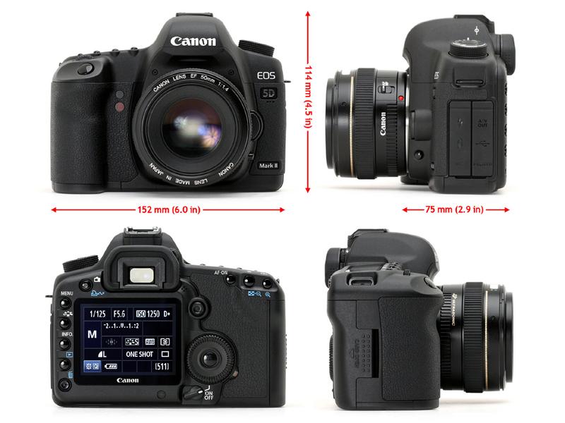 ���ܣ�Canon��5D Mark IIͼƬ���� ��31�� -ZOL�йش����ߵ�31��