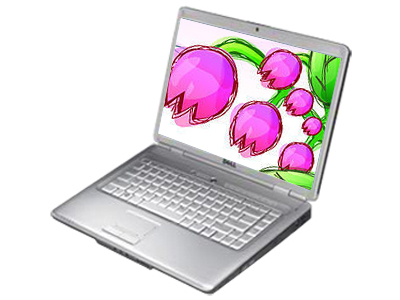 ������DELL��Inspiron 1525-N��R510905CN�� ��1��