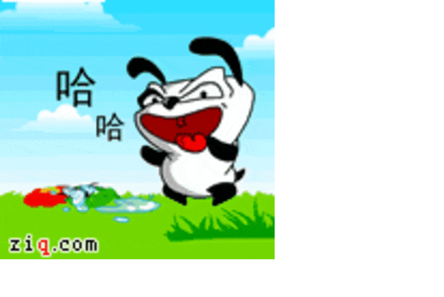【高清图】 好色狗搞笑qq表情 比加菲猫还有个性图73