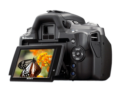 ���ᣨSONY��A330ͼƬ���� ��44�� -ZOL�йش����ߵ�44��