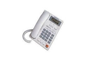 �߿� HCD313