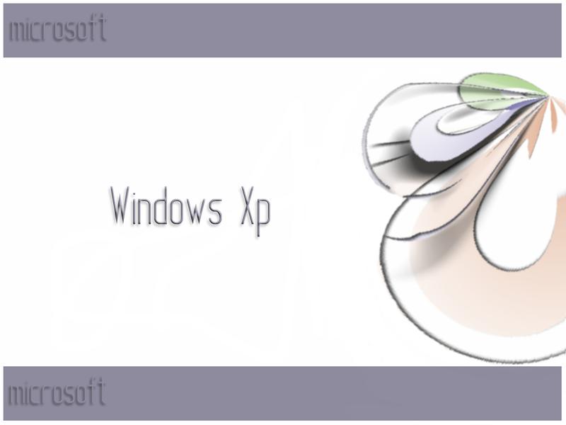 Windows XP���������������ֽ���Ͷ�ͼƬ����,ͼ1-ZOL�йش����ߵ�1��