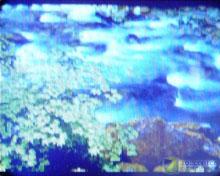 �������ٳ��ֱ�MP3 �Ͱ����� UW-F029ͼƬ����,ͼ12-ZOL�йش����ߵ�12��