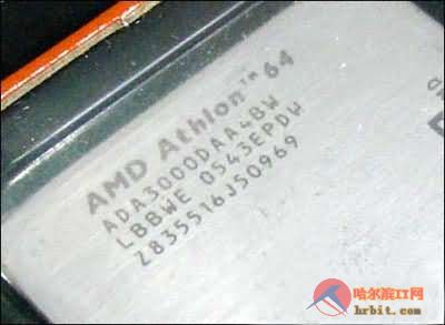 ������ AMD����3000+���տ����ԪͼƬ����,ͼ11-ZOL�йش����ߵ�11��