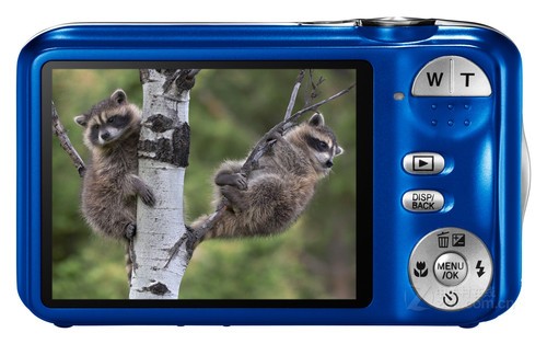 1600��ʿ���佹 ��ʿJV255�ؼ۴��� 