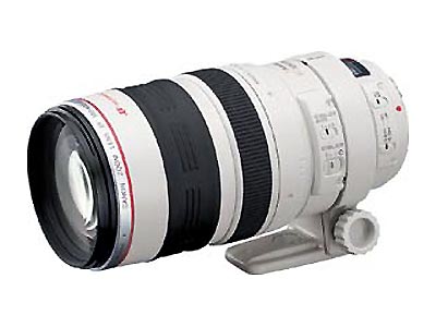 ���ܣ�Canon��EF 100-400mm f/4.5-5.6L IS USM(���)ͼƬ���� ��3�� -ZOL�йش����ߵ�3��