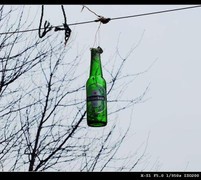 Fujifilm X-S1镜头下的初春