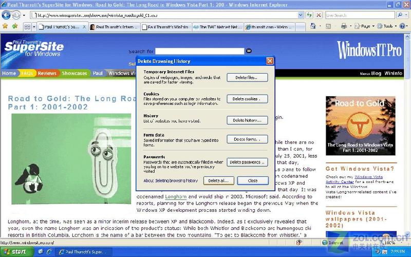 Internet Explorer 7 ����֮��ƪͼƬ����,ͼ1-ZOL�йش����ߵ�1��