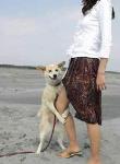 备房备粮娶老婆 搞笑QQ表情包大全下载