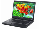 戴尔Inspiron 1300-n(N510501)