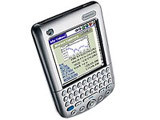 Palm Tungsten C