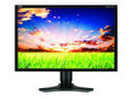 NEC P221W Һ����ʾ��