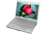 戴尔Inspiron 1420(S520323CN)