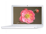 苹果MacBook(MB061CH/B)