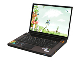 联想IdeaPad Y510A-SI(TV TUNER)