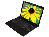 惠普Compaq 6531s(FP632PA)