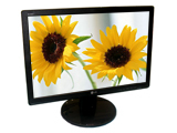 LG W2042T