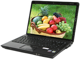 ����Compaq Presario V3911TU(FK613PA)