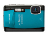 ���ְ�˹ u6010
