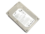 希捷250GB 7200转 8MB SATA1(ST3250310SV)