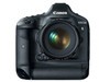 ���� EOS-1D X