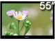 ��ά55E82RD