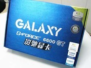 Ӱ GF6600GT