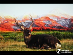 ڴеLED΢ͶӰ ħӰ298L 