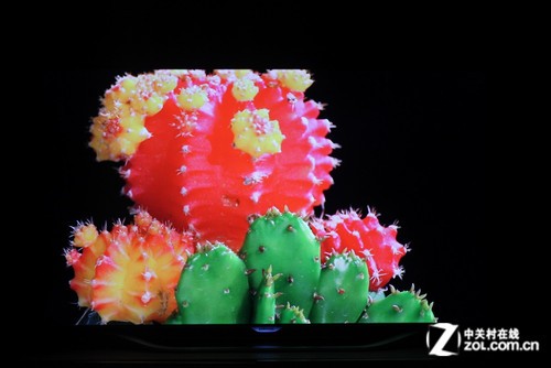 我们只谈画质与音质 碧维视高清机评测