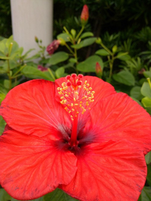 �߸о��� ����˶Padfone Infinity���� 