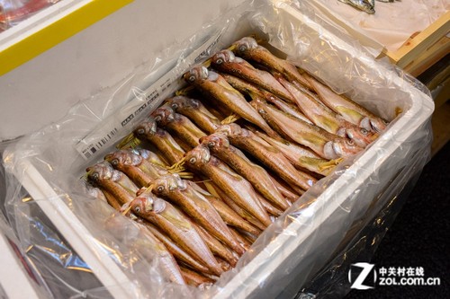 "大C"游世界 带你买日本最新鲜的海产
