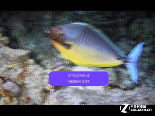 ЯLED3D΢Ͷ ǸZECO CX5ײ 