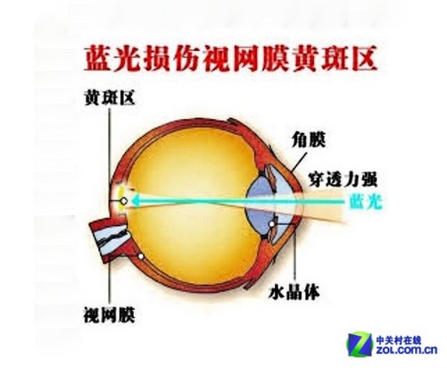 手机贴膜真的伤眼睛吗?少看手机是关键